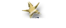 Five Star